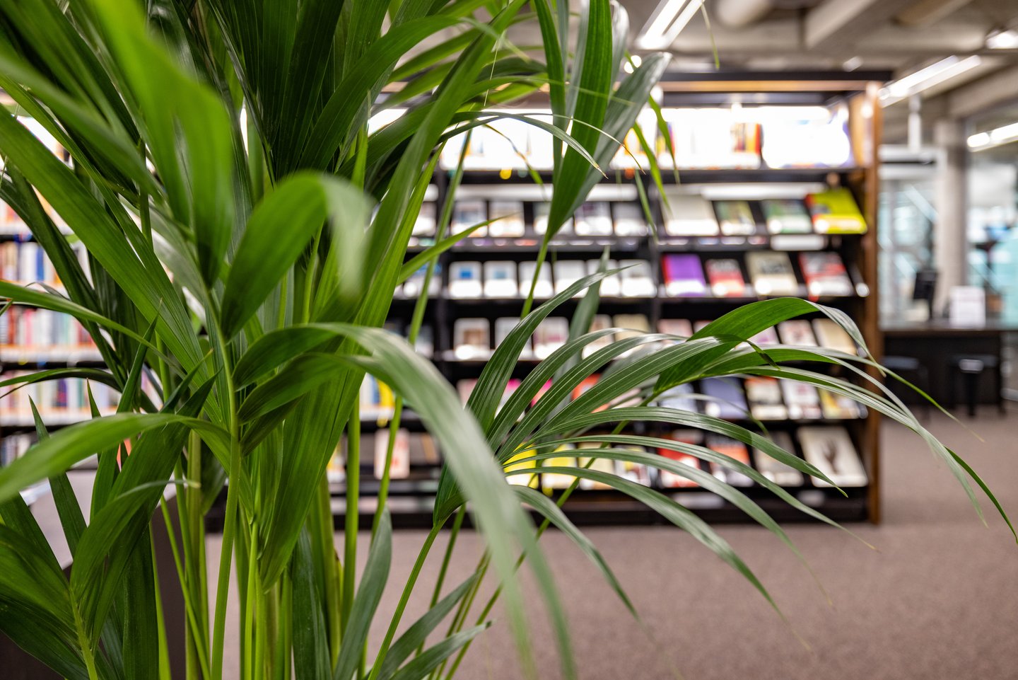 Bibliotheksgebäude nach Sanierung 2021